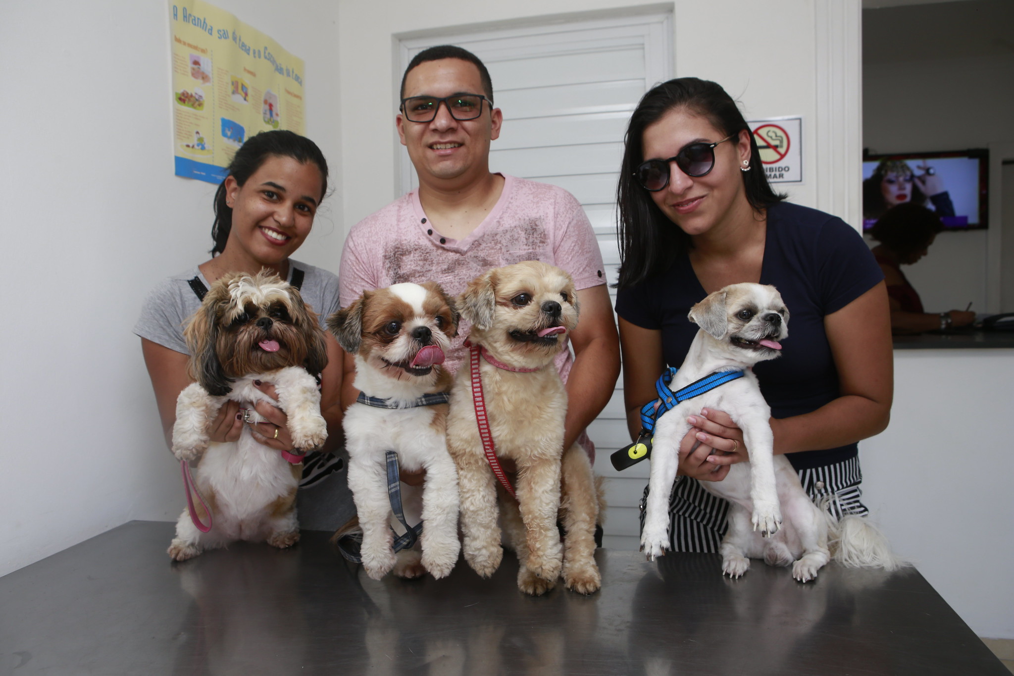 Guarujá adere Campanha Dezembro Verde e reforça adoção responsável