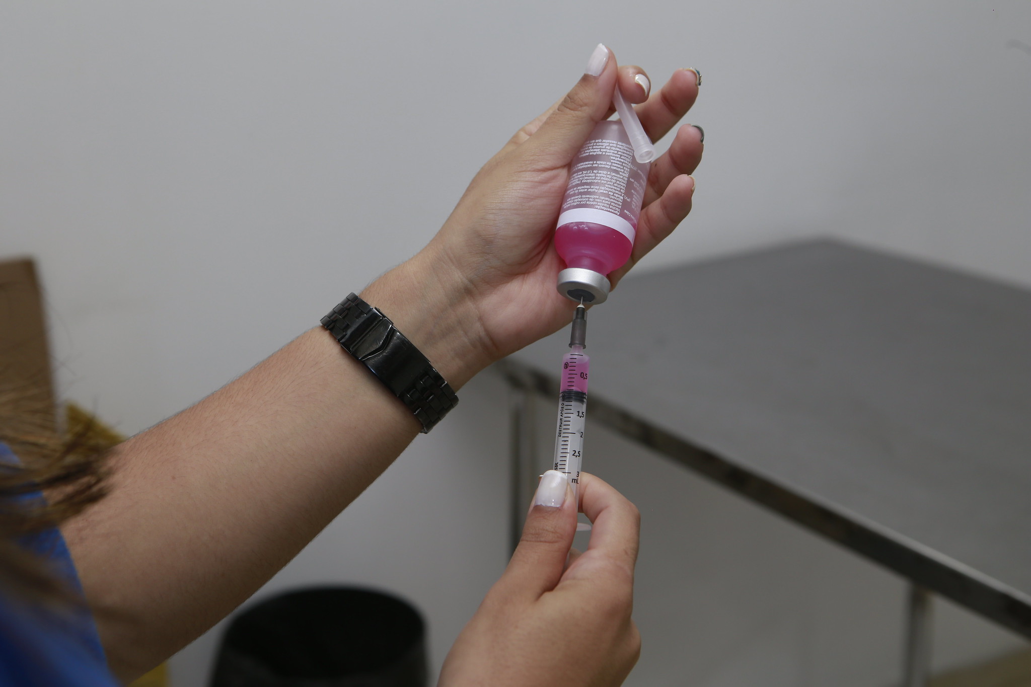 Canais de sete bairros de Guarujá receberão serviços de desratização