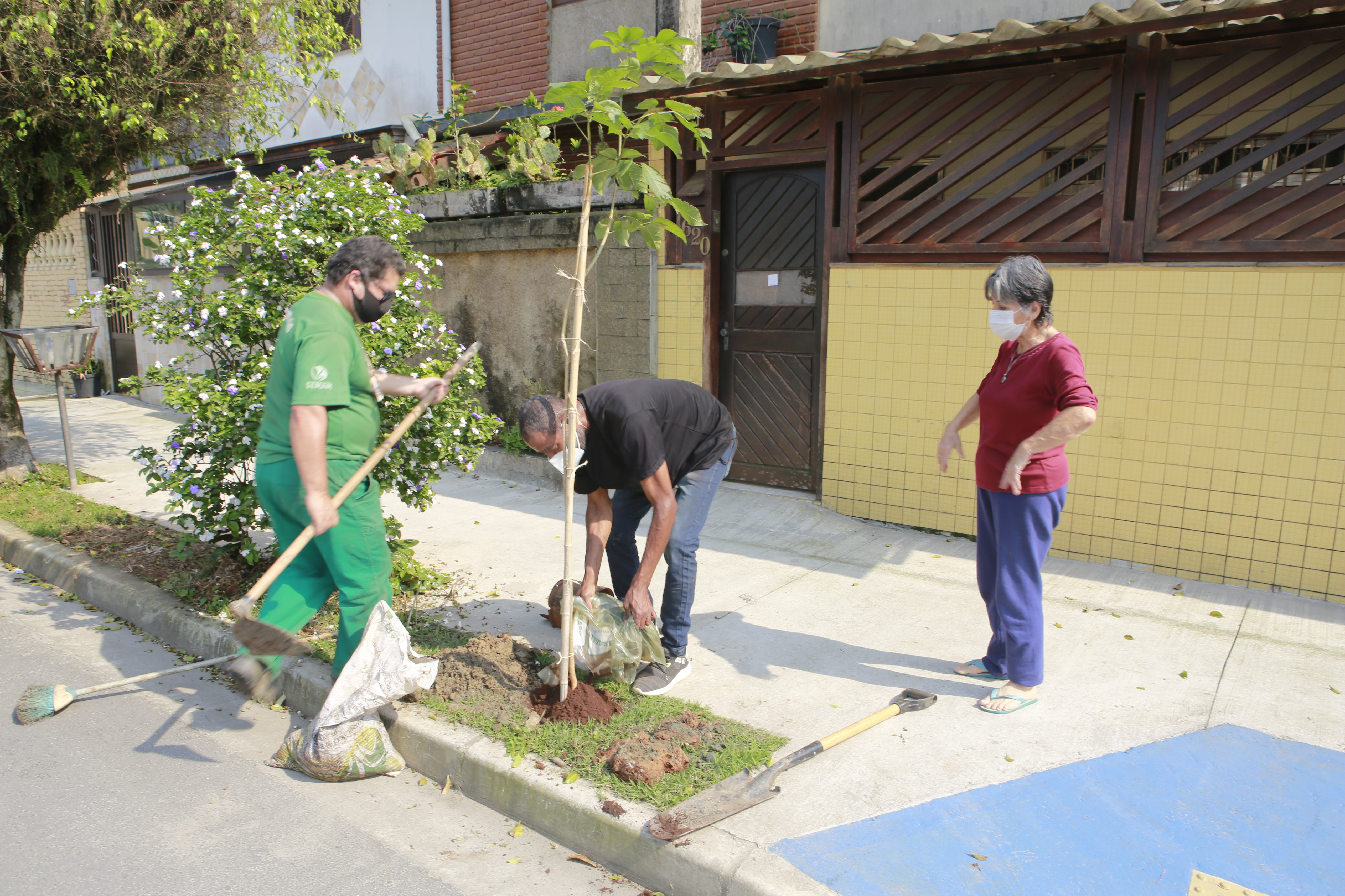 Adesão ao projeto “Cidade mais verde” marca Dia da Árvore