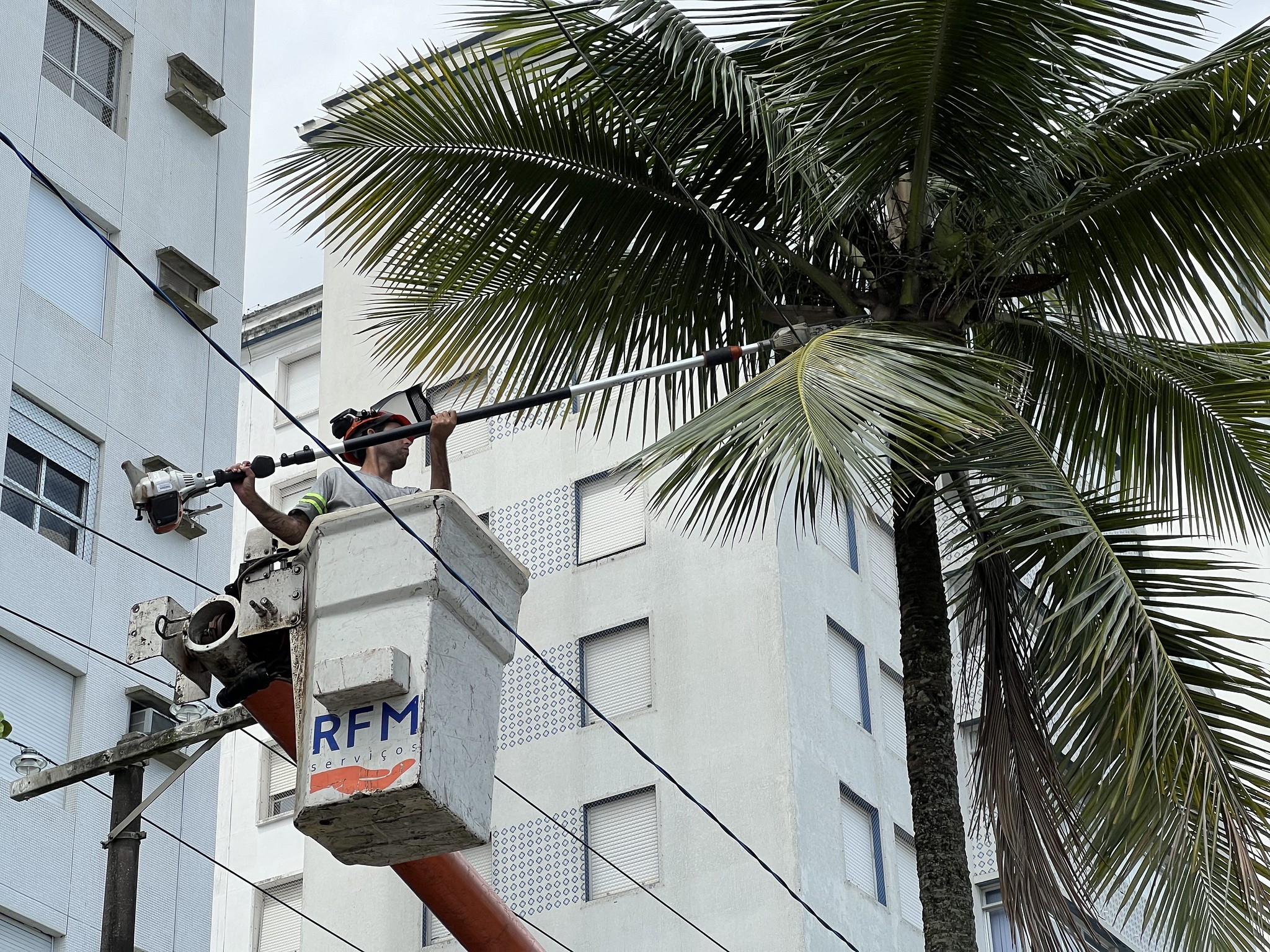 Guarujá intensifica processo de poda de árvores na pré-temporada de verão