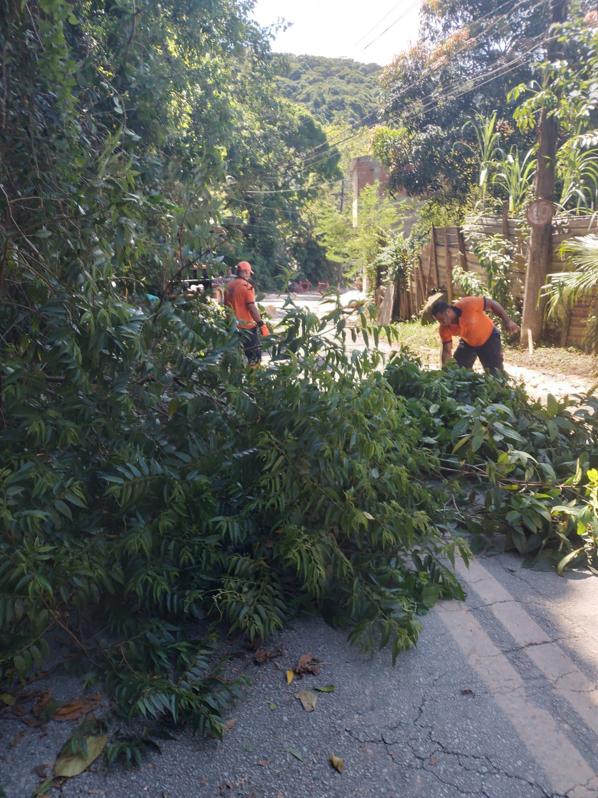 Prefeitura libera acesso à Estrada Santa Cruz dos Navegantes